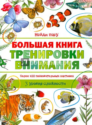 Большая книга тренировки внимания