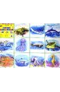 цена Плакат Морские животные (50х70 см)
