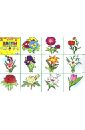Плакат Цветы садовые (50х70 см) фартук полноцветный лучшая хозяйка