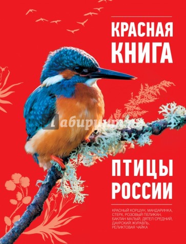 Красная книга. Птицы России