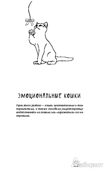 Иллюстрация 6 из 19 для Я и мой кот. Пушистые истории - Кармен Райлли | Лабиринт - книги. Источник: Лабиринт
