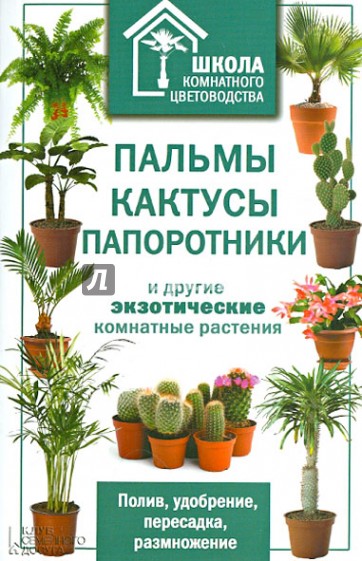 Пальмы, кактусы, папоротники и другие экзотические комнатные растения