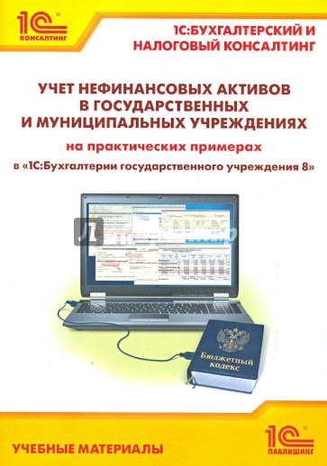 Учет нефинансовых активов в государственных и муниципальных учреждениях на практических примерах