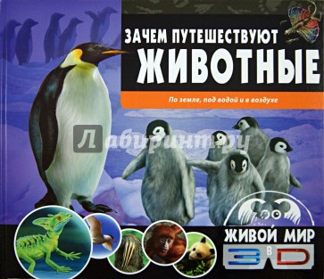 Зачем путешествуют животные. По земле, под водой и в воздухе