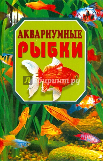 Аквариумные рыбки