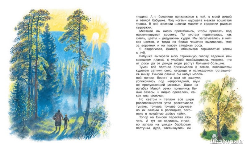 Иллюстрация 3 из 14 для Стрижонок Скрип - Виктор Астафьев | Лабиринт - книги. Источник: Лабиринт