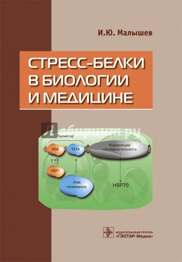 Стресс-белки в биологии и медицине