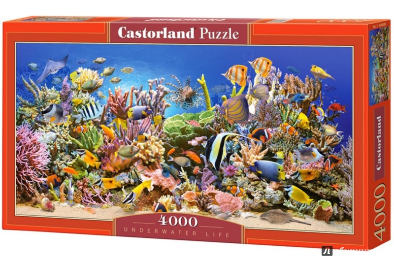 Иллюстрация 1 из 8 для Puzzle-4000 "Подводный мир" (С-400089) | Лабиринт - игрушки. Источник: Лабиринт