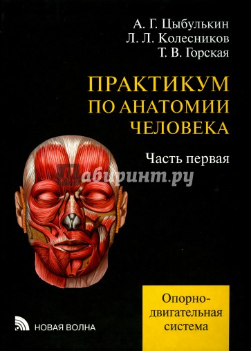 Практикум по анатомии человека. В 4-х частях. Часть 1. Опорно-двигательная система