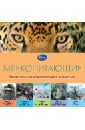 Млекопитающие. Удивительная энциклопедия животных берни дэвид млекопитающие детская энциклопедия