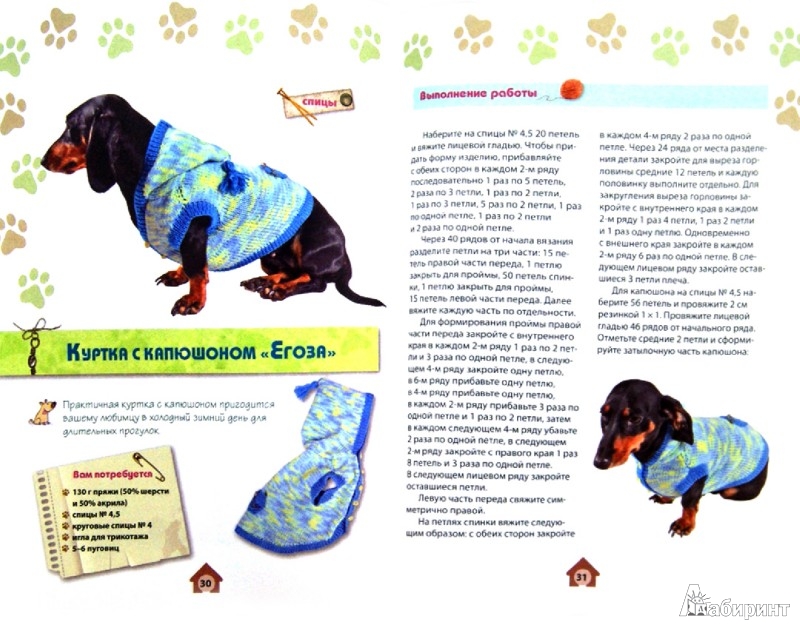Иллюстрация 1 из 8 для Вяжем для собак: комбинезоны, свитера, попонки - Елена Каминская | Лабиринт - книги. Источник: Лабиринт