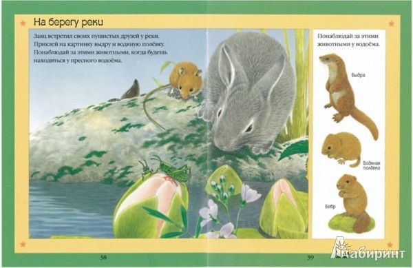 Иллюстрация 1 из 15 для Чудо-наклейки. Такие разные животные | Лабиринт - книги. Источник: Лабиринт
