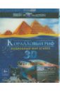 Обложка Коралловый риф: подводный мир Египта 3D (Blu-Ray)