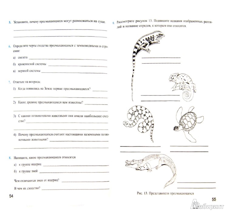иллюстрации рабочая тетрадь 7 класс биология