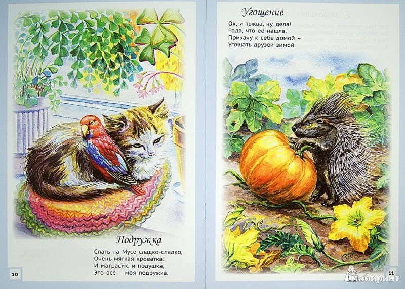 Иллюстрация 1 из 25 для Хорошо вместе. Сборник стихов с приложением - Романова, Соломонова | Лабиринт - книги. Источник: Лабиринт