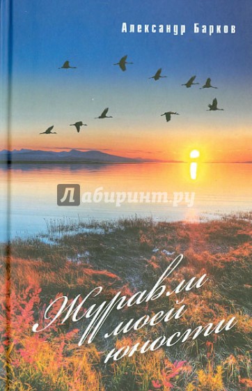 Журавли моей юности. Избранное. Рассказы, повести, стихи в прозе