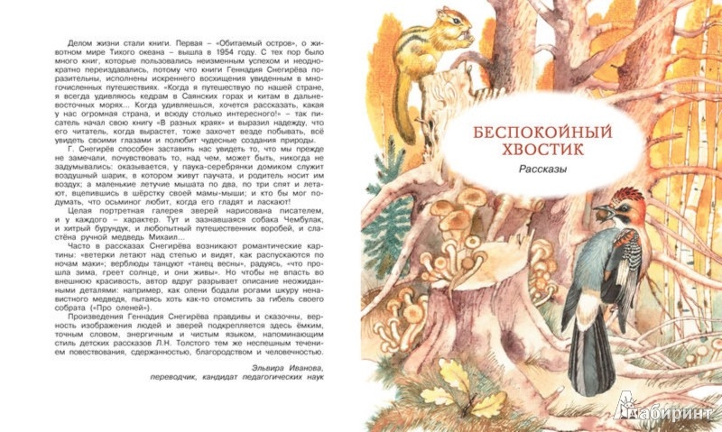 Иллюстрация 1 из 35 для Хитрый Бурундук - Геннадий Снегирев | Лабиринт - книги. Источник: Лабиринт