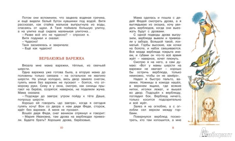 Иллюстрация 3 из 35 для Хитрый Бурундук - Геннадий Снегирев | Лабиринт - книги. Источник: Лабиринт