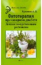 Фитотерапия при сахарном диабете. Лечение лекарственными растениями - Руженкова Ирина Викторовна