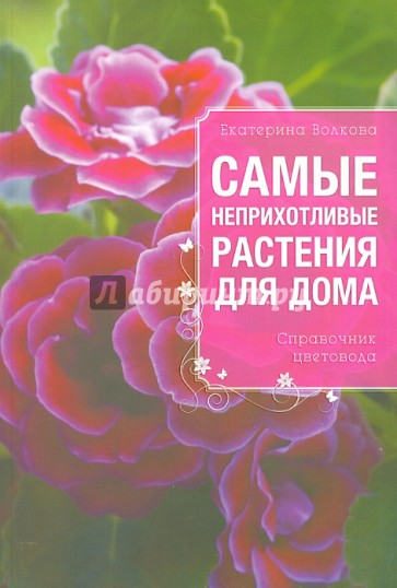 Самые неприхотливые растения для вашего дома. Справочник цветовода