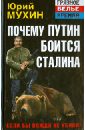 Обложка Почему Путин боится Сталина. Если бы Вождя не убили!