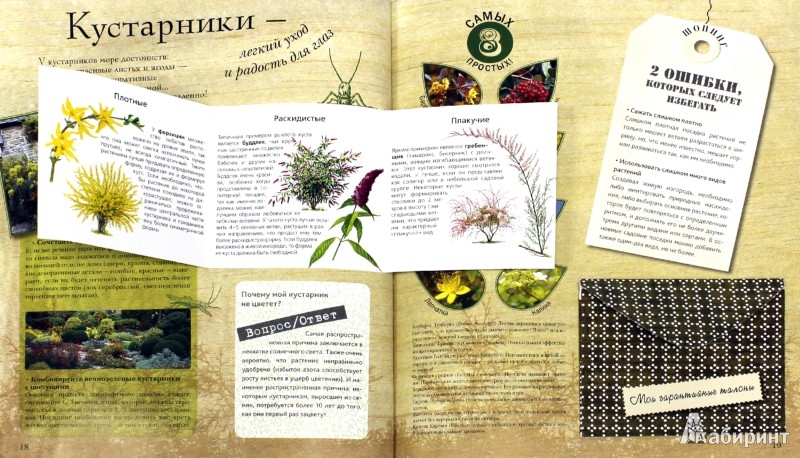 Иллюстрация 1 из 23 для Секреты вашего сада - Катерина Дельво | Лабиринт - книги. Источник: Лабиринт