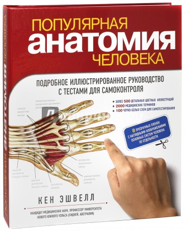 Популярная анатомия человека. Подробное иллюстрированное руководство с тестами для самоконтроля