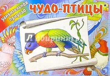 Чудо-птицы