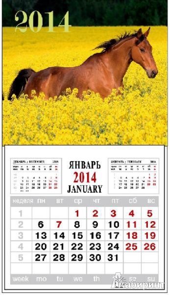 Иллюстрация 1 из 2 для Календарь на 2014 год с магнитным креплением "Лошадь в цветах" (32009) | Лабиринт - сувениры. Источник: Лабиринт