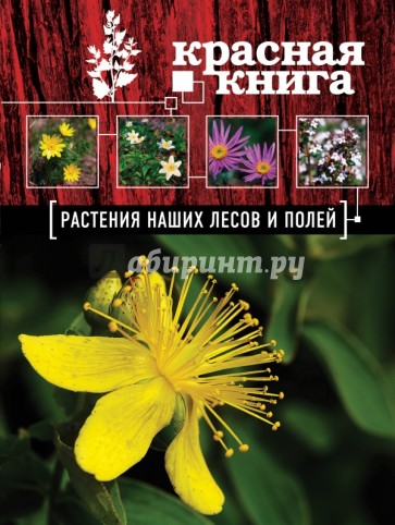 Красная книга. Растения наших лесов и полей