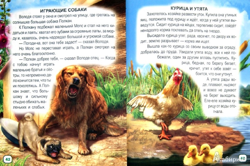 Иллюстрация 1 из 7 для Рассказы о животных | Лабиринт - книги. Источник: Лабиринт