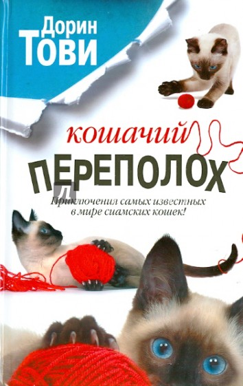 Кошачий переполох