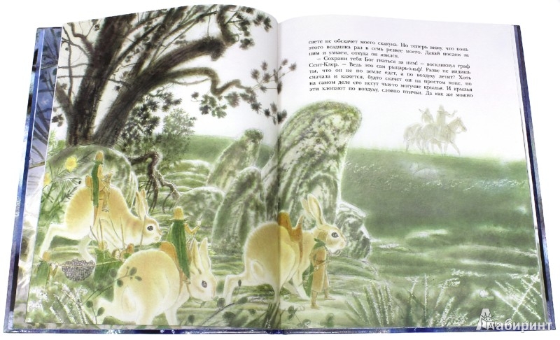 Иллюстрация 1 из 24 для Рыцарь-Эльф: шотландская легенда | Лабиринт - книги. Источник: Лабиринт