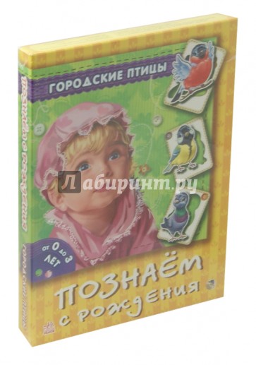 Игра "Городские птицы"