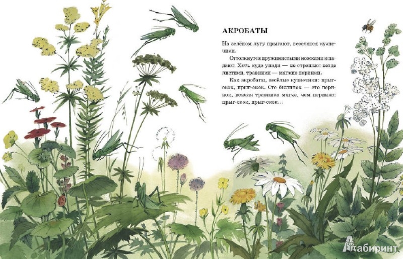 Иллюстрация 1 из 34 для Телеграмма - Анатолий Тумбасов | Лабиринт - книги. Источник: Лабиринт