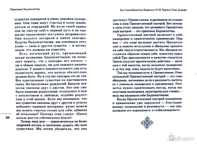 Иллюстрация 1 из 3 для Практика Бодхисаттвы - XVII Кармапа | Лабиринт - книги. Источник: Лабиринт