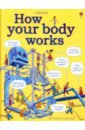 Hindley Judy How Your Body Works how it works rocket