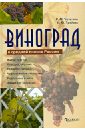 Обложка Виноград в средней полосе России
