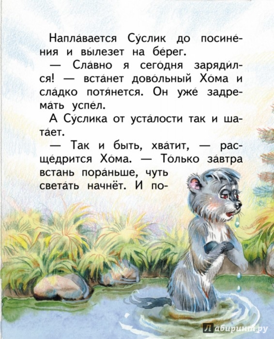 Иллюстрация 3 из 9 для Сказки о Хоме и Суслике - Альберт Иванов | Лабиринт - книги. Источник: Лабиринт