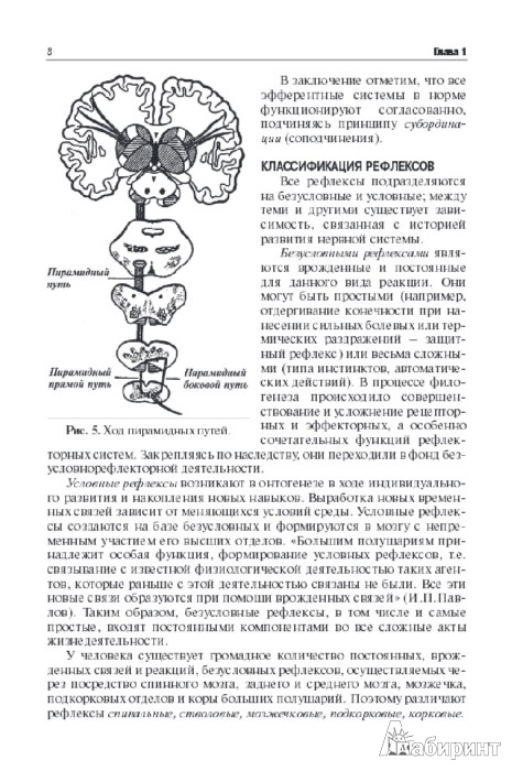Иллюстрация 5 из 9 для Топическая диагностика заболеваний нервной системы - Александр Триумфов | Лабиринт - книги. Источник: Лабиринт