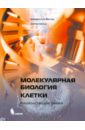 Молекулярная биология клетки. Руководство для врачей - Фаллер Джеральд М., Шилдс Деннис