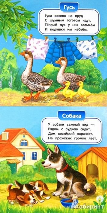 Иллюстрация 1 из 9 для Кто как говорит - Таисия Мазаник | Лабиринт - игрушки. Источник: Лабиринт
