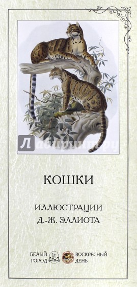 Кошки. Иллюстрации Д.-Ж. Эллиота