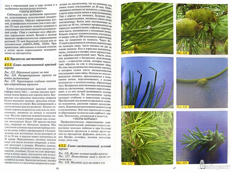 Иллюстрация 1 из 9 для Болезни и вредители хвойных растений. Атлас ...