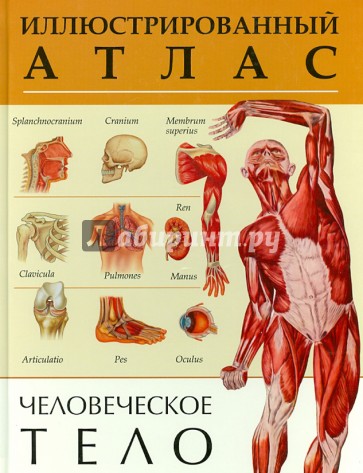 Человеческое тело. Иллюстрированный атлас