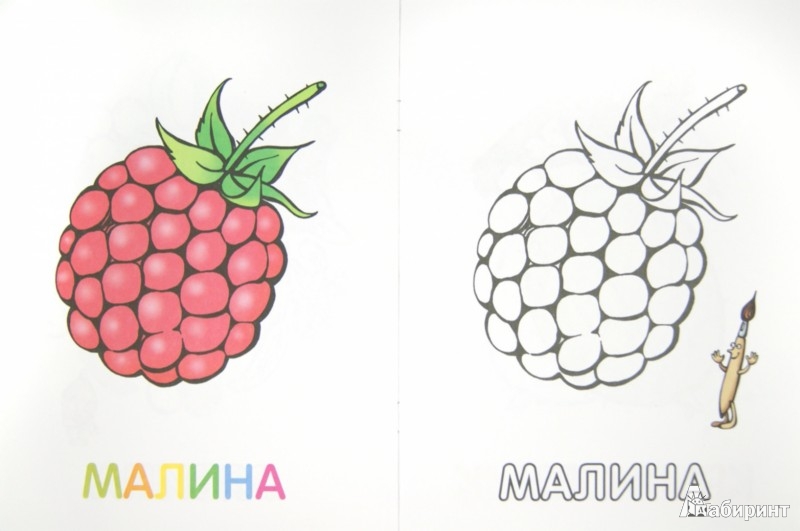 Раскраски ягоды и фрукты