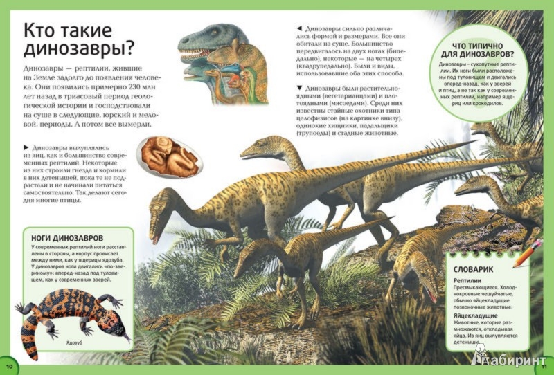 Иллюстрация 3 из 7 для Динозавры - Дугал Диксон | Лабиринт - книги. Источник: Лабиринт