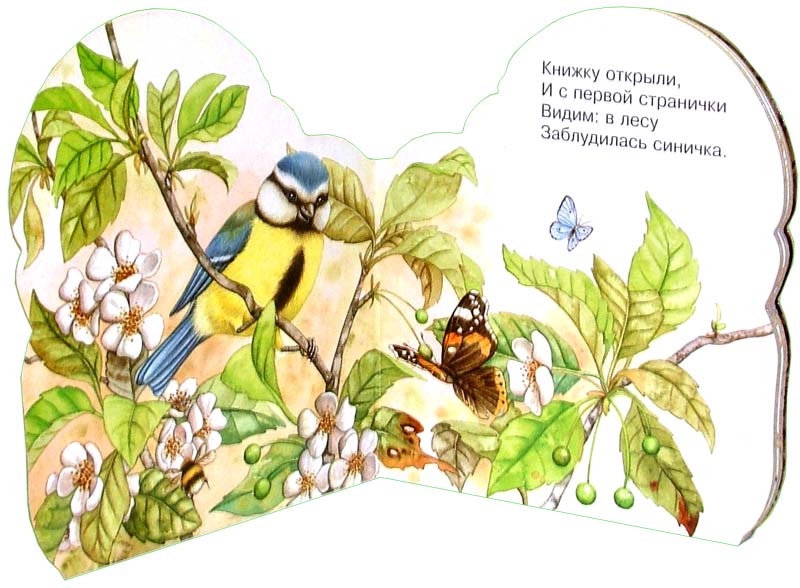Иллюстрация 2 из 6 для Про синичку. Зверята - В. Комаров | Лабиринт - книги. Источник: Лабиринт