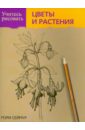 Сеймур Мэри Учитесь рисовать цветы и растения