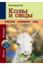Плотникова Елена Владимировна Козы и овцы козы овцы